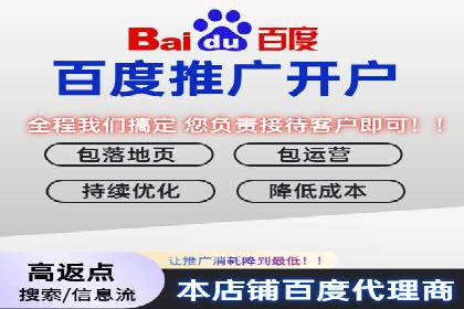 SEM服务助力电商行业案例解读